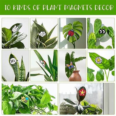 Cslehel Plant Magnets Eyes for Potted Plants ，8 PCS Cute Magnetic Plant  Eyes with Cartoon Eyes, Funny Plants Pins for Indoor Outdoor Office Plants