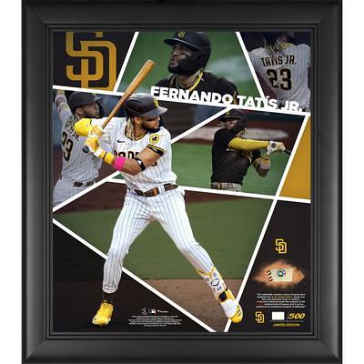 Fernando Tatis Jr. San Diego Padres Deluxe Framed Autographed