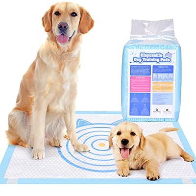 Puppy Pee Pads 23.6''X35.4''-20 Count | Dog Pee Training Pads Super Absorbent & Leak-Proof | Disposable Pet Piddle and Potty Pads for Puppies | Dogs 