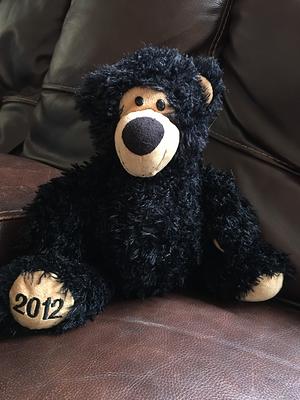 GANZ Stuffed Animals MULTI - Black & White 19'' Twilight Bear Plush Toy -  Yahoo Shopping