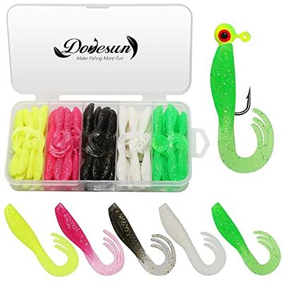 Dovesun Crappie Jigs Jig Heads Fishing Bait With Feather For