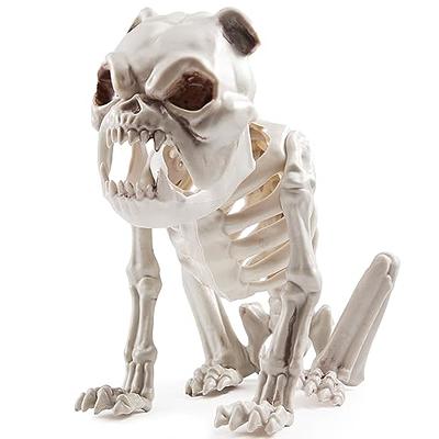 Bones the Dog Skeleton Halloween Decoration