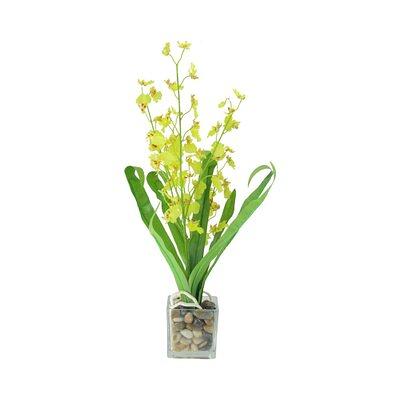 Vickerman 604090 - 18 Pink/Orange Orchid Arrangement (FC190266) Home  Office Flowers in Pots Vases and Bowls - Yahoo Shopping