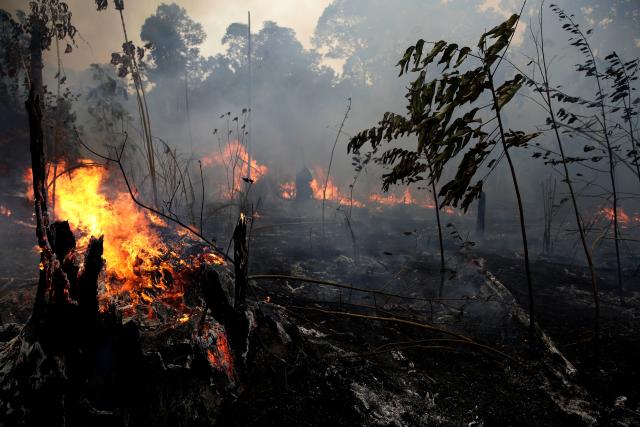 A fire burns trees and brush along the road to Jacunda National Forest, near the city of Porto Velho in the Vila Nova Samuel region which is part of Brazil's Amazon, Monday, Aug. 26, 2019. The Group of Seven nations on Monday pledged tens of millions of dollars to help Amazon countries fight raging wildfires, even as Brazilian President Jair Bolsonaro accused rich countries of treating the region like a