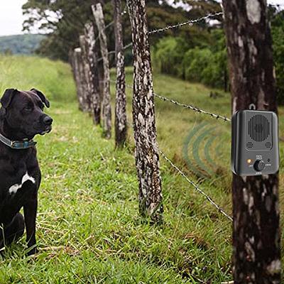  PetSafe Basic Bark Control Collar for Dogs 8 lb. and Up,  Anti-Bark Training Device, Waterproof, Static Correction, Canine -  Automatic Dog Training Collar to Decrease Barking, PBC-102 : Barking  Deterrent