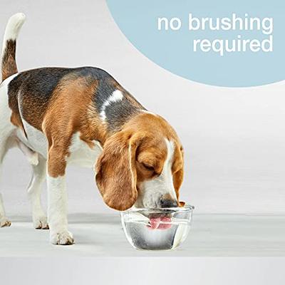 PetLab Co. ProBright Dental Powder - Dog Breath Freshener - Teeth Cleaning  Made Easy – Targets Tartar & Bad Breath - Formulated for Medium Size Dogs