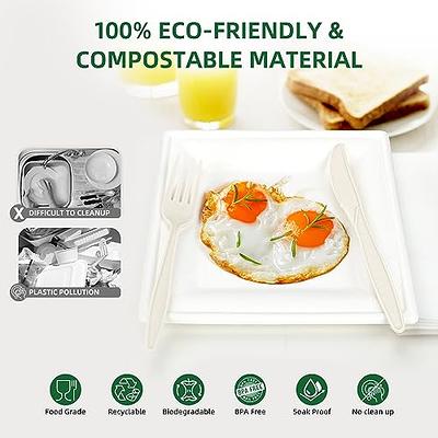 CURTA 350pcs Compostable Paper Plates Set Eco-friendly Heavy-duty