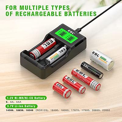 3.6V Lithium Li-ion Batterie Ou Pile and 1.5V Type-C D, pile d