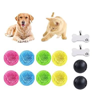 Active Gliding Disc - 2023 New Light up Indoor Soccer Ball Games Active  Rolling Ball for Dogs, Interactive Automatic Self Moving Ball Dog Toys,  Flying