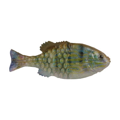 Berkley PowerBait Saltwater Gilly, 90 mm, HD Pinfish, Soft Swimbait - Yahoo  Shopping