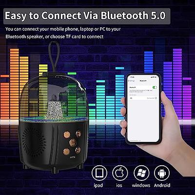 Kids Mini Karaoke Machine W/Wireless 1/2 Mic Portable KTV Speaker RGB LED  Lights