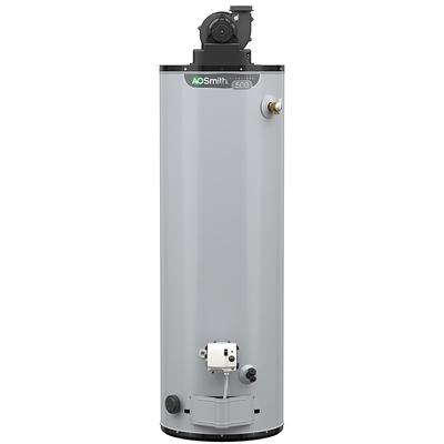 A.O. Smith Signature 100 50-Gallon Tall 12-year Warranty 40000-BTU Natural  Gas Water Heater in the Water Heaters department at