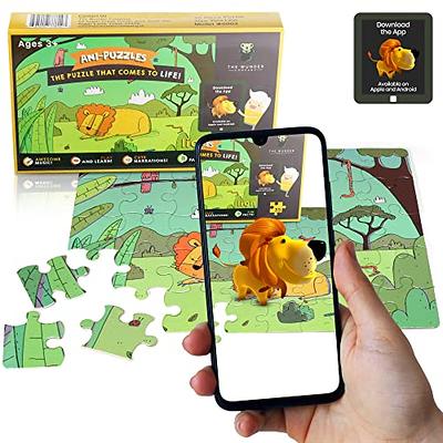 Educational Insights Kanoodle Extreme Puzzle Game, Brain Teaser Puzzle  Challenge Game, Gift for Ages 8+