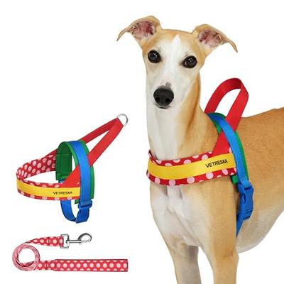 Dog Weave Pole Agility Starter Kit Pet Outdoor Exercise Training