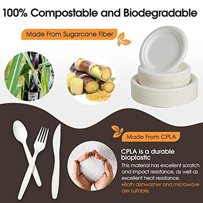 hooray mida 100% Compostable Plates, Disposable Paper Plates 125-Count -  Heavy Duty, Biodegradable Plates Made of Bagasse - Eco Friendly and