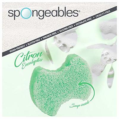 Foot Scrub Sponge