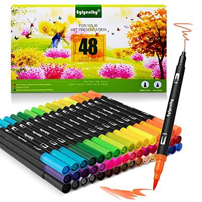 Ohuhu Brush Marker Pens 48 Colours, Dual Tip Brush & Chisel Sketch Art Pens for Artist, Students, Brush Markers for Sketching, Adult Coloring, CA