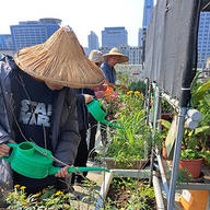 老憨兒園藝輔療支持計畫