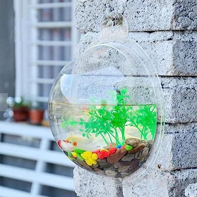 Large Glass Bubble Fish Bowl Terrarium Vase