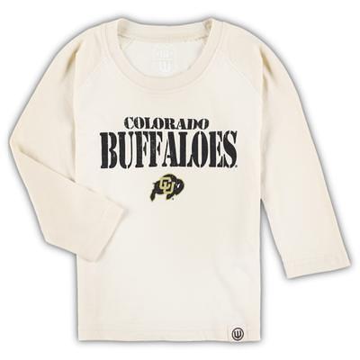 Youth Buffalo Bills Nike Heather Gray Hometown Collection Pullover Hoodie