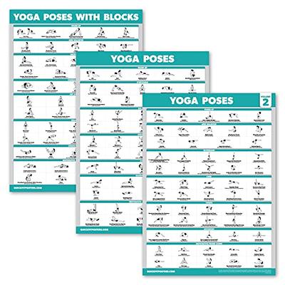 Buy Yoga Poses Poster 24x36 Large Yoga Art Print on 100% Recycled Paper  With 62 Asanas Poses in English & Sanskrit Yoga Gifts Online in India - Etsy