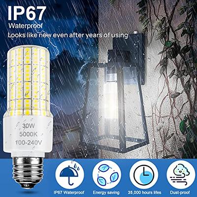 RIUVAO 2 Pack Led Light Bulb Equivalent 250w 3750 Lumen 5000K Cool Daylight  White 30W Waterproof Corn Bulb E26/E27 Medium Base for Outdoor Indoor  Garage Workshop Backyard - Yahoo Shopping