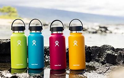 Hydro Flask 24 oz. Elevate Series Wide Mouth Bottle with Straw Lid