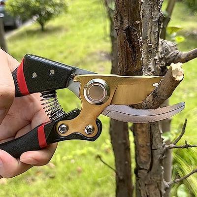 Sirmedal Pruning Shears for Gardening, Garden Shears Heavy Duty,  Professional Bypass Pruner Hand Shears, Tree Trimmers Secateurs, Garden  Clippers for Plants, Hedge Shears, Garden Tools - Yahoo Shopping