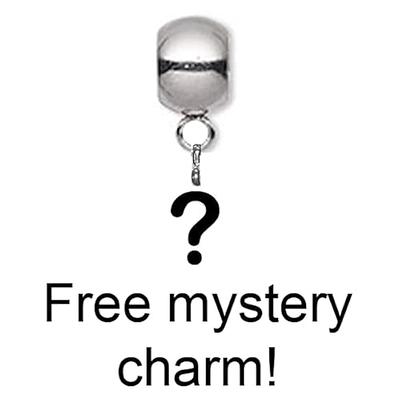 Mystery + Stainless Steel + Charm Bracelets