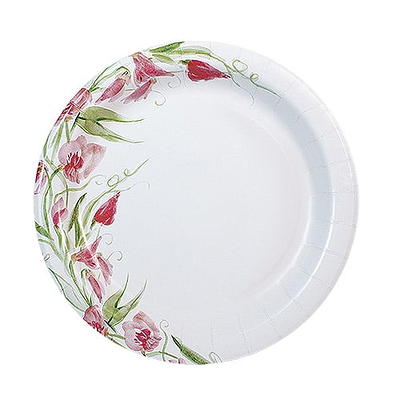 Nicole Home Collection 6\ Uncoated Paper Plates - White, 80 Count