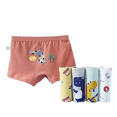 Core Pretty Boys Underwear Kids Cotton Boxer Briefs Dinosaur Training  Boyshorts for Toddler Size 3-12 Years (Pack of 5) (Dinosaur Retro, 3-4T) :  : Clothing, Shoes & Accessories