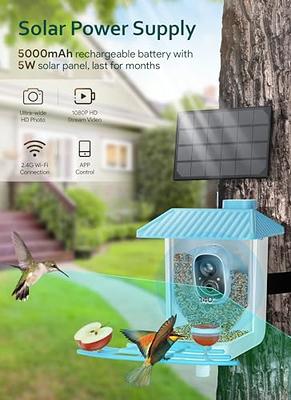 Osoeri Smart Bird Feeder with Camera, 1080P HD AI Identify Wild