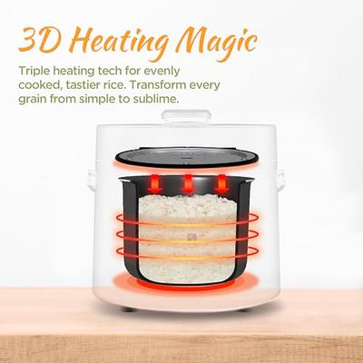  Mini Rice Cooker 2-Cups Uncooked, 1.2L Portable Non-Stick Small  Travel Rice Cooker, Smart Control Multifunction Cooker with 24 Hours Timer  Delay & Keep Warm Function, Food Steamer: Home & Kitchen