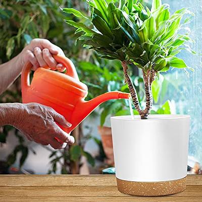 SwinDuck 6 Inch Plant Pots, 12 Pack Plastic Planters Modern Flower Pot with  Drainage Holes and Saucers for All House Plants, Herbs, Flowers and