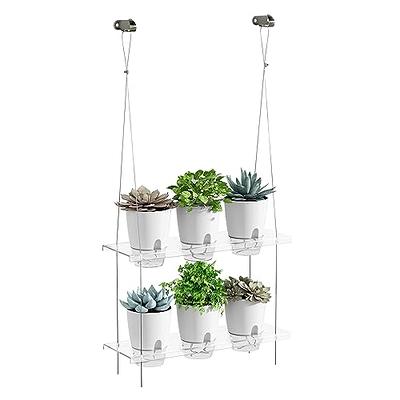 YARNOW 8 Pcs Window Planters Suction Cup Racks Clear Display Stand Clear  Shelves Suction Cup Shelf for Photo Display Shelf Clear Plant Holders  Suction