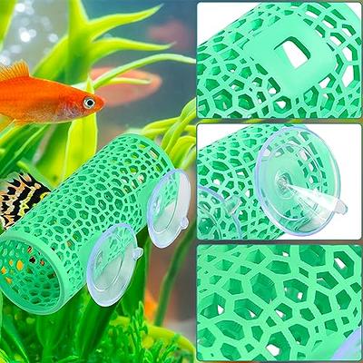 Abizoo Betta Tunnel,Betta Fish Hideout,Small Hole Hollow Betta Tube,Mint  Green Safe Betta Fish Toys for Small Fish Shrimp Guppy,Aquarium Cave Betta  Hammock House Fish Tank Decorations Accessories - Yahoo Shopping