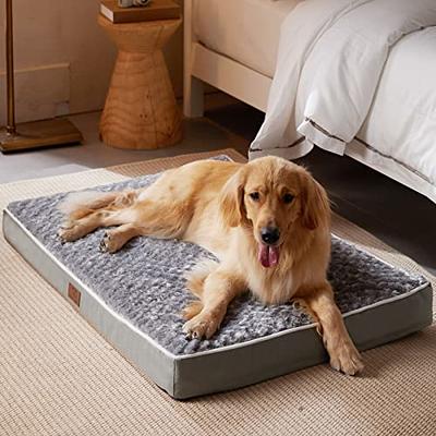 cenadinz L 31 in. x 28 in. x 7 in. Large Dog Cat Champagne Soft Plush Orthopedic Pet Bed Slepping Mat Cushion, Beige