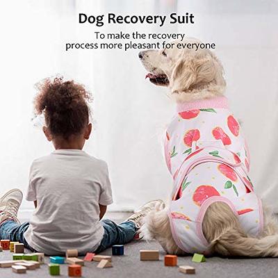 Kuoser Dog Surgical Recovery Suit Dog Cat Onesie after Surgery,Pink,L