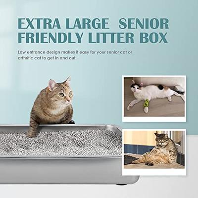 IKITCHEN Stainless Steel Cat Litter Box, Small Low Entry Open Metal Litter  Pan for Kittens Newborn Cats Rabbits, Never Absorbs Odors 15.7 L x 11.7 W