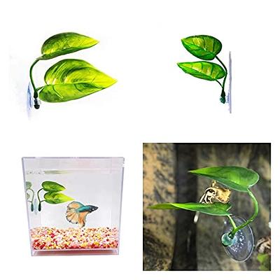 LUOZZY 2Pcs Betta Bed Leaf Decoration Betta Fish Hammock Toy Fish