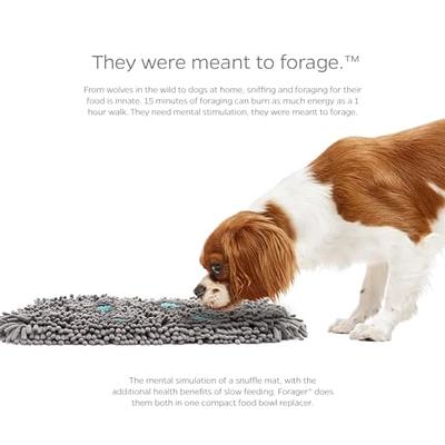 Puppy Snuffle Pad Pet Nose Smell Training mat Dog Slow Feed Mat Bowl Pet  Food Dispenser Carpet Dog Sniffing Pad Dog Digging Toy