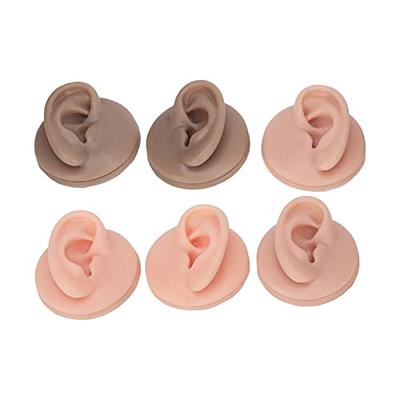 Human Tongue Mouth Model,Silicone Tongue Model, Human Tongue Model Soft  Silicone Lifelike Acrylic Stand Mouth Model for Jewelry Display (Skin Color)