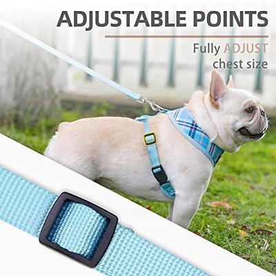 PUPTECK Adjustable Dog Harness Collar and Leash Set Step in No Pull Pet  Harness for Small Medium Dogs Puppy and Cats Outdoor Walking Running, Soft
