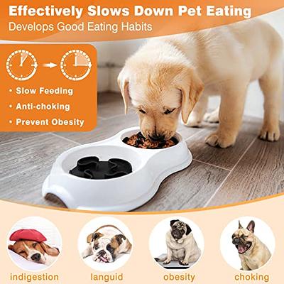 BurgeonNest Slow Feeder Dog Bowls, 27oz Stainless Steel 4-in-1 Food and  Water Bowls with