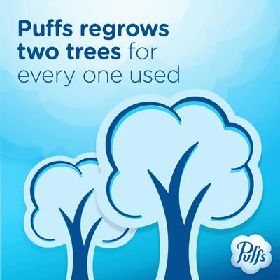 Puffs Plus Lotion Facial Tissues, 672 sheets