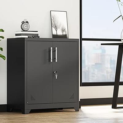 Black Metal Storage Cabinet with 2-Doors and 4 Shelves, Lockable Tall  Cabinet for Home Office Garage Kitchen Pantry ZT-W25262845 - The Home Depot