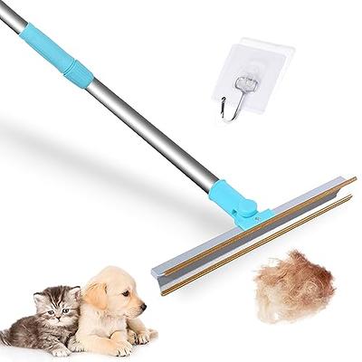 Carpet Cleaning Telescoping Rug Brush