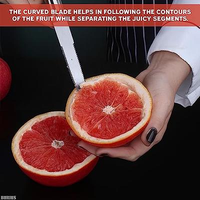 Grapefruit Knife Curved Serrated Blade Knife - Fruit Slicer Cutter