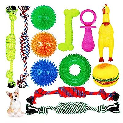 Hyper Pet Bumpy Palz 2-In-1 Interactive Dog Toys, Dog Chew Toys