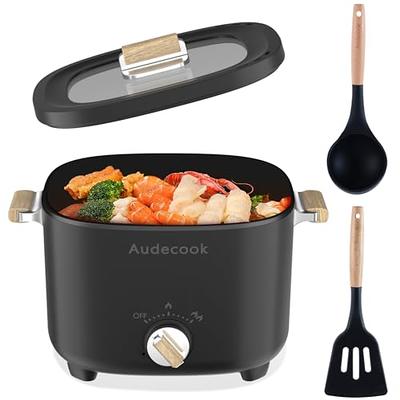 Testing out the Audecook Electric Hot Pot 